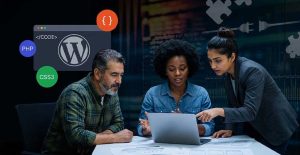 WordPress Plugin Development