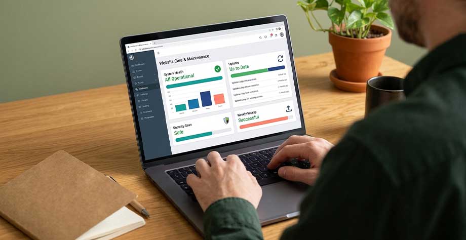 Website Care After Launch